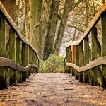 bridge, path, park-3024773.jpg